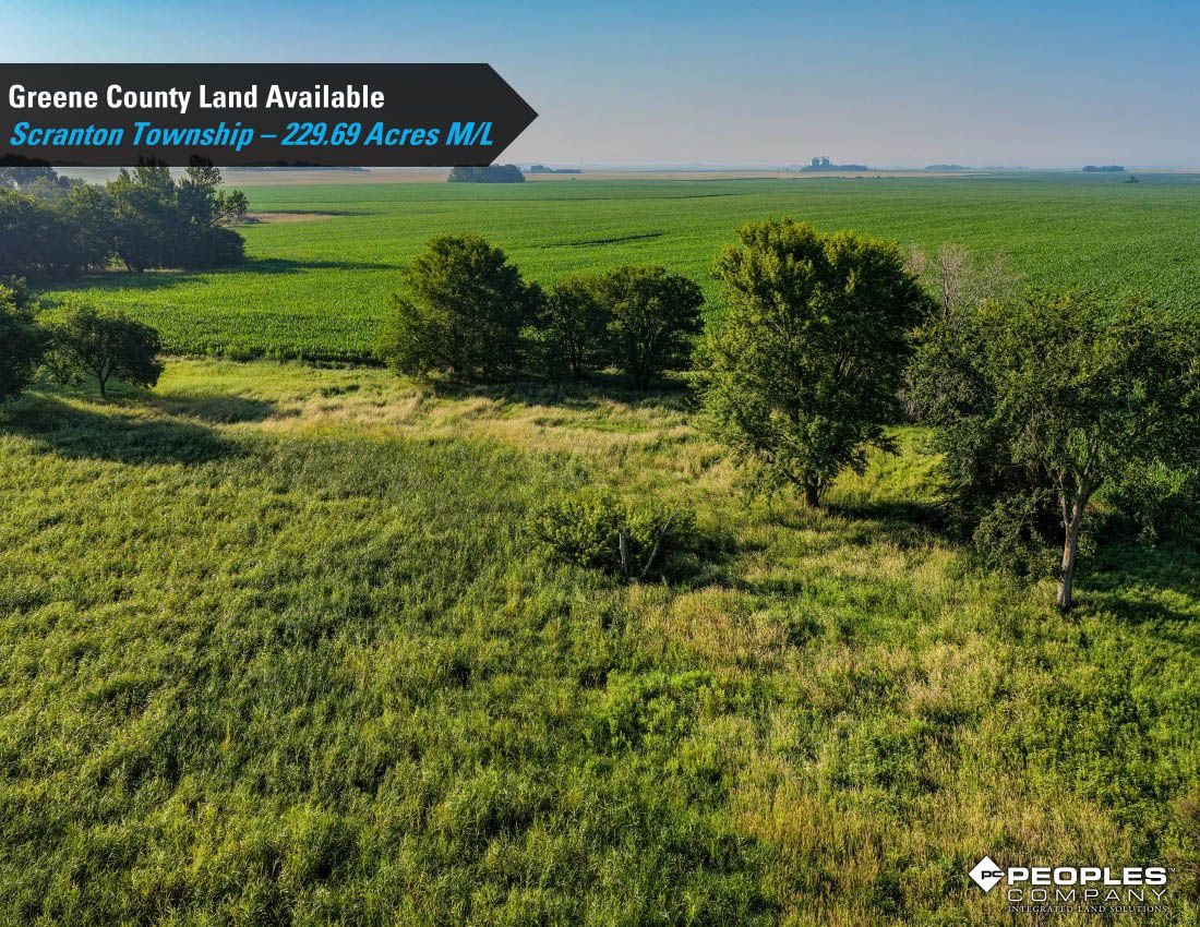 Listing Photo: Greene-County-Iowa-Land-Available-Scranton-Iowa-229-Acres-19614 (14)